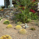 Illustration for article titled 7 Essential Landscaping To Dos for Arid Climates